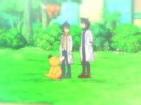  XY:   (2014) 
