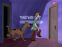 -   (1972) -  12