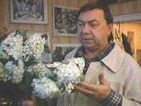     (1991)