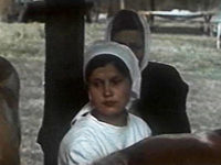  (1976) -  13