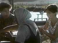  (1976) -  14