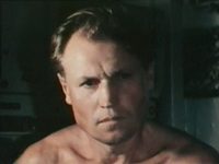    (1981)
