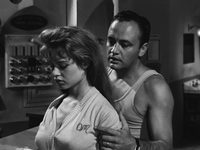   (1956)