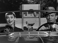 (1954) -  15
