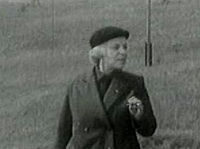   (1963)