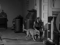    (1953) 
