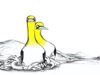 (2020)