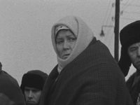   (1972)