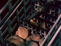   ,    (1984) -  43