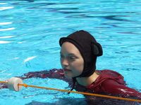 ׸  (2008) 
