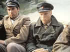   ,    (1974) -  7