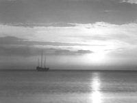     (1935) 
