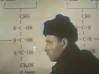   (1966)