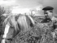  (1962)
