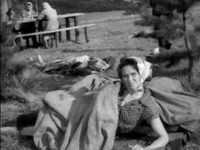   (1962)