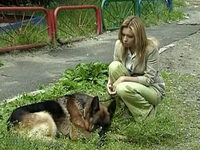  -3 (2006)