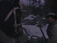   (1983) -  1