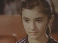   (1985) 
