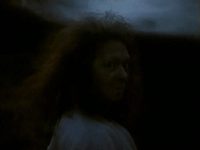    (1991)