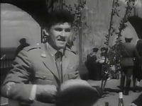      (1966)