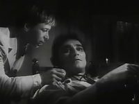      (1966) -  33