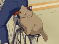 ظ  (1995)