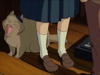 ظ  (1995)