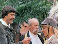  (1982)