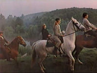  (1982)
