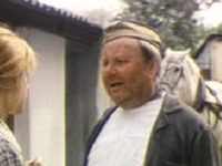    (1986) 
