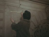   (1977) -  88