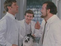   (1971) -  39