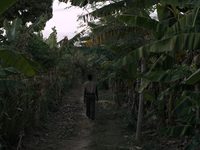   (2019)