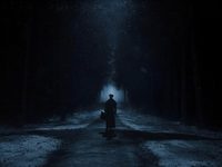  (2024)