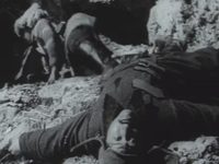   (1972) -  37