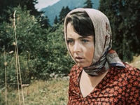 "SOS" над тайгой (1976) 
фотографии