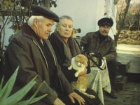   (1985)