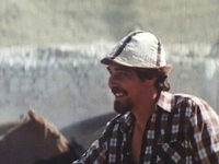  (1982)