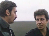  (1982)