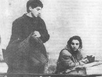  (1986)