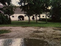     (1992) -  56