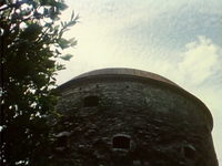     (1992)