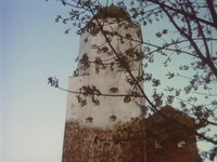     (1992) -  224