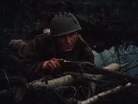  (1981) 
