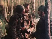  (1981) 
