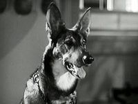    (1942) -  5