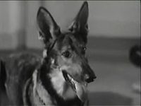    (1942) -  6