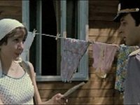     (1978)