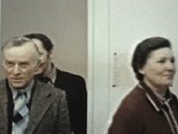   (1981)