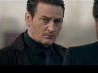  (2017)